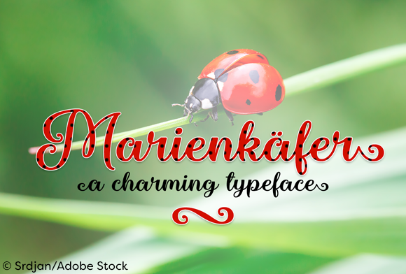 Marienkaefer: A Script Font Built for Real Brand Work