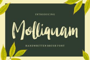 Molliquam: A Handwritten Typeface That Elevates Handmade Products