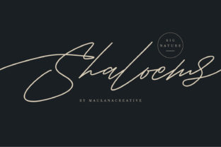 Shaloems: A Designer’s Honest Take on This Script Display Font