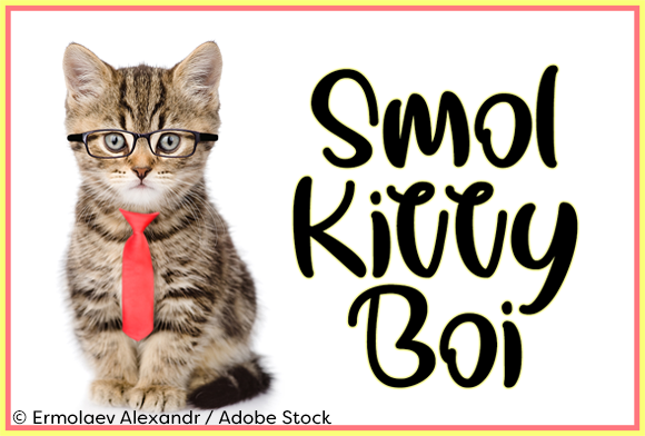 Smol Kitty Boi Typeface: Funky Charm for Handmade Products