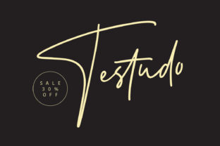 Testudo: A Handwritten Font That Brings Editorial Warmth to Life